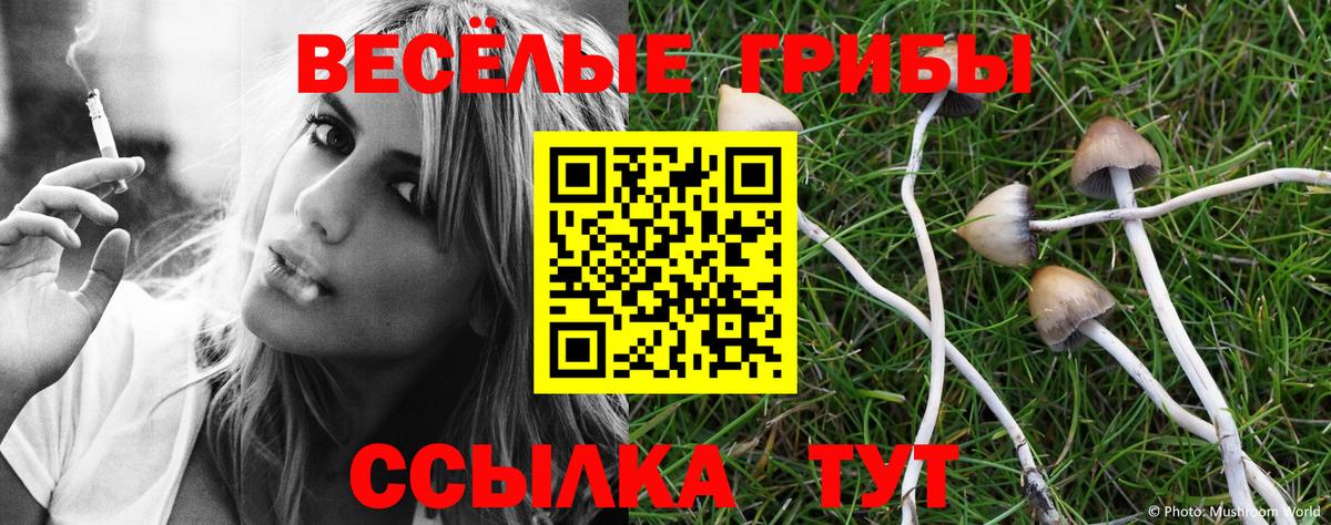 хочу   Вход с VPN  Ахтубинск  Псилоцибиновые грибы Magic Shrooms 